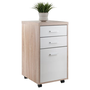 Winsome Wood Kenner File Cabinet, 2-Drawer in Reclaimed Wood and White