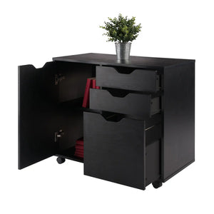 Winsome Wood Halifax Wide Storage Cabinet, 2-Drawer, Filing Cabinet in Black