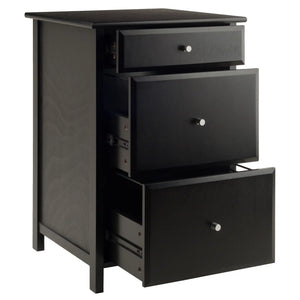 Winsome Wood Delta Home Office File Cabinet in Black