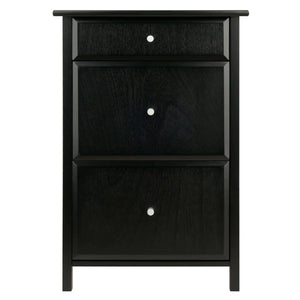 Winsome Wood Delta Home Office File Cabinet in Black