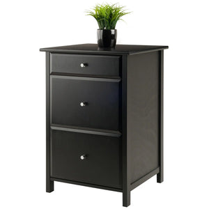 Winsome Wood Delta Home Office File Cabinet in Black