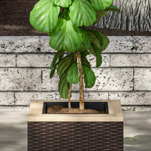 Load image into Gallery viewer, Homestyles Palm Springs Brown Outdoor Planter